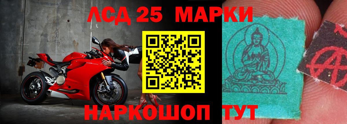 Бердск  Лсд 25 экстази кислота  Вход с VPN  Лсд 25 экстази кислота 