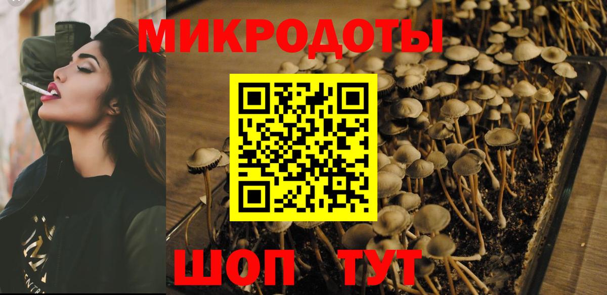 Бердск  Псилоцибиновые грибы прущие грибы  Вход с VPN  Галлюциногенные грибы Magic Shrooms 