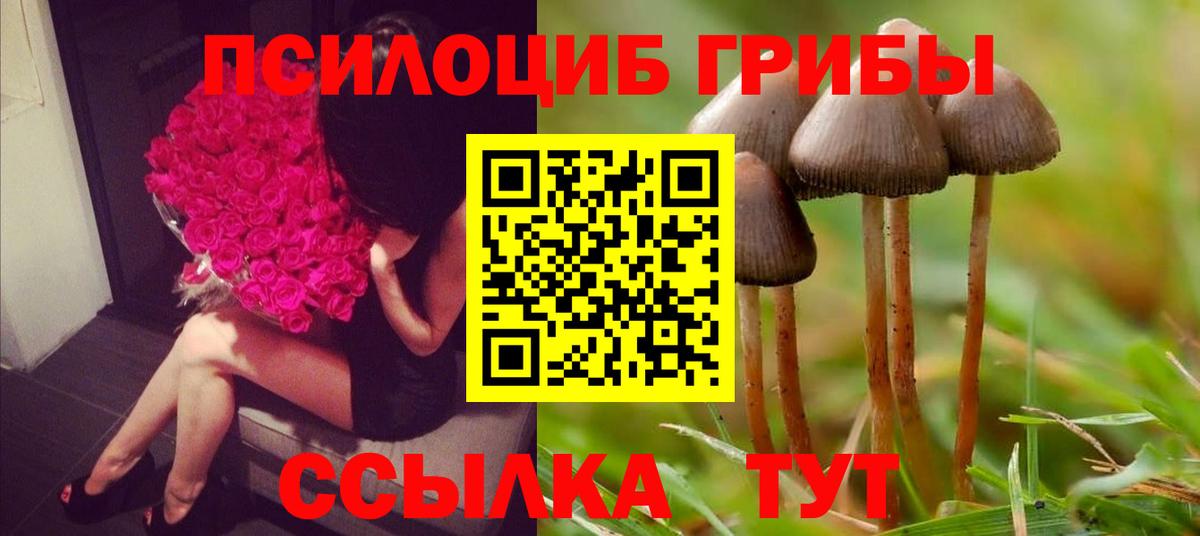 Галлюциногенные грибы прущие грибы Бердск